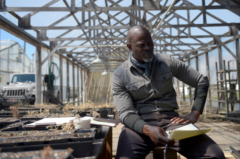 (Photo credit: Djimon Hounsou)
